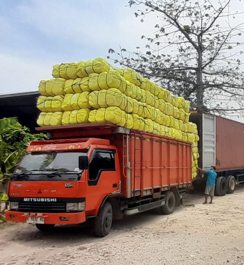 Kapok Fiber Pati Sourcing