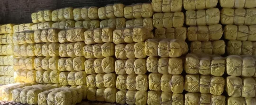Kapok Processing 7