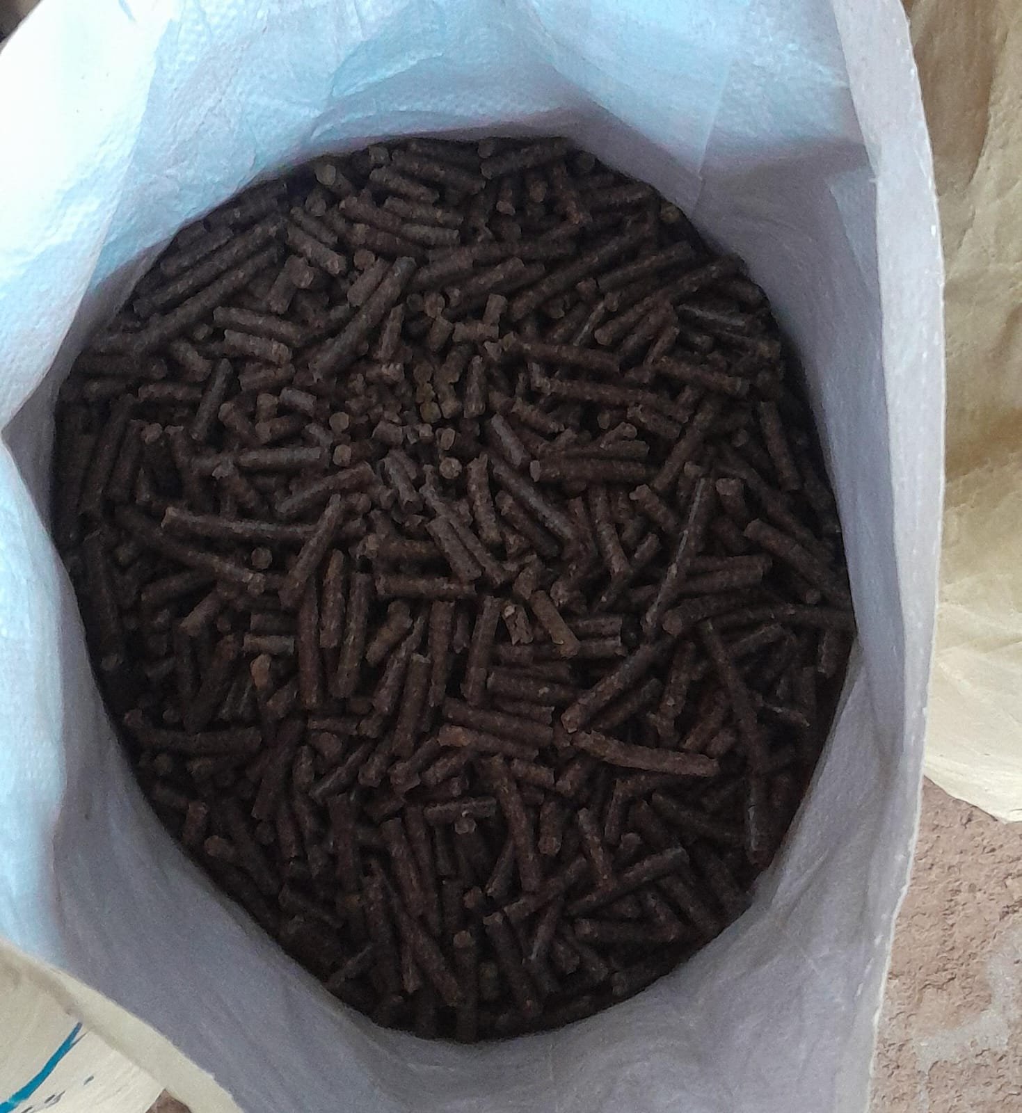 Kapok Processing 9